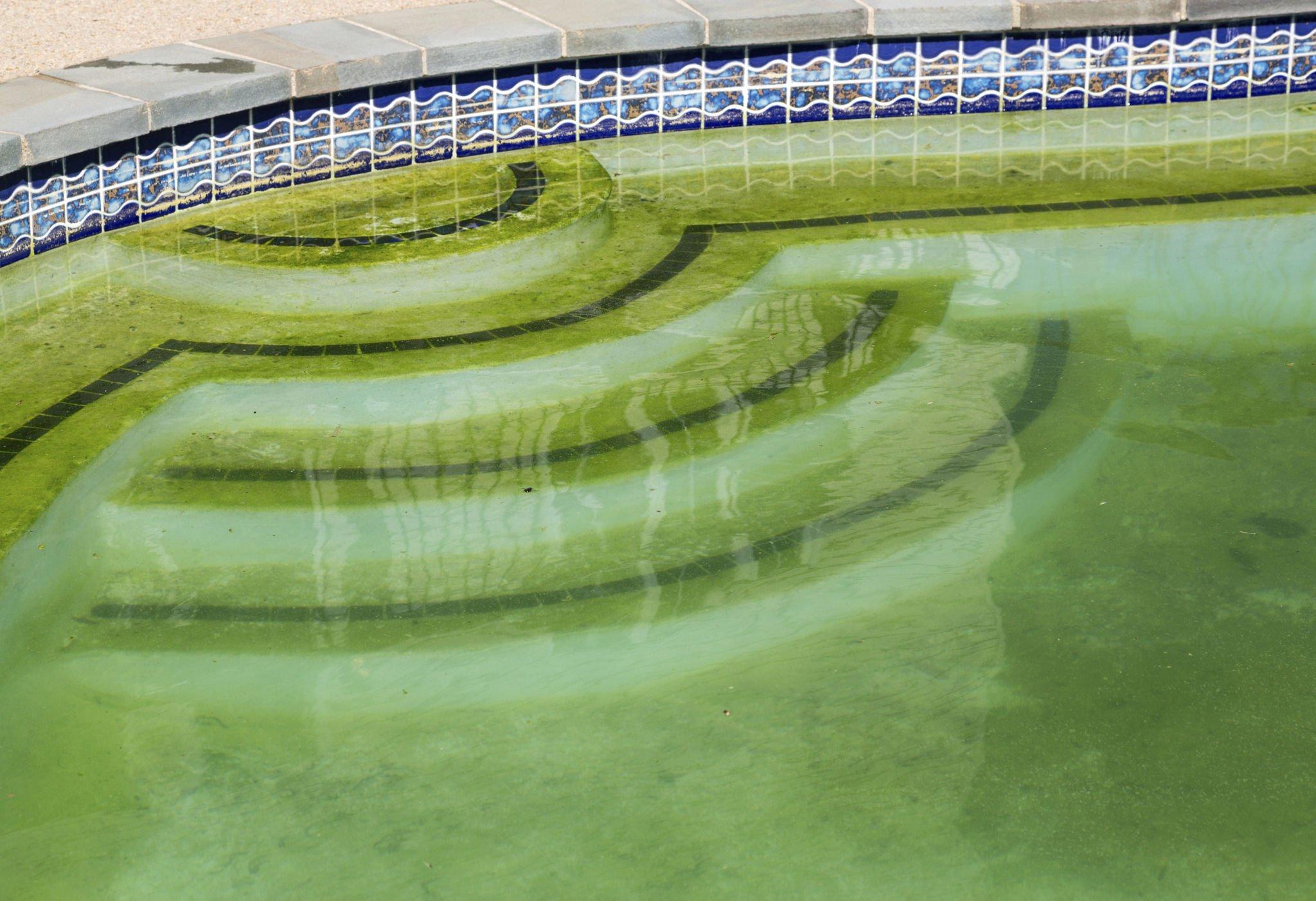 how-to-remove-dead-algae-from-pool-bottom-2-best-proven-methods