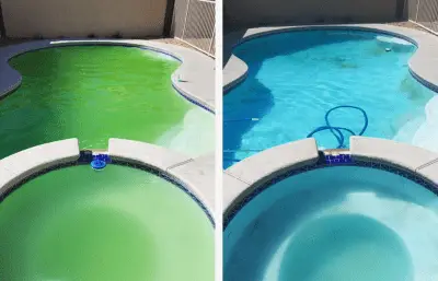 how to clean a pool full of algae